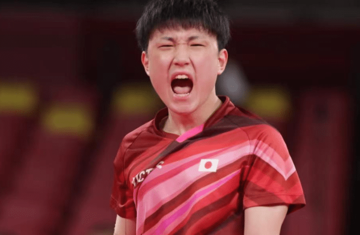 揭秘张本智和疯狂怒吼！原来是日本脏话，妈妈从小教他这样喊