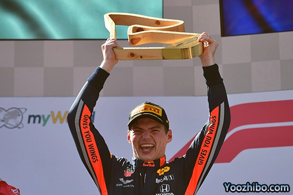 F1维斯塔潘车号介绍